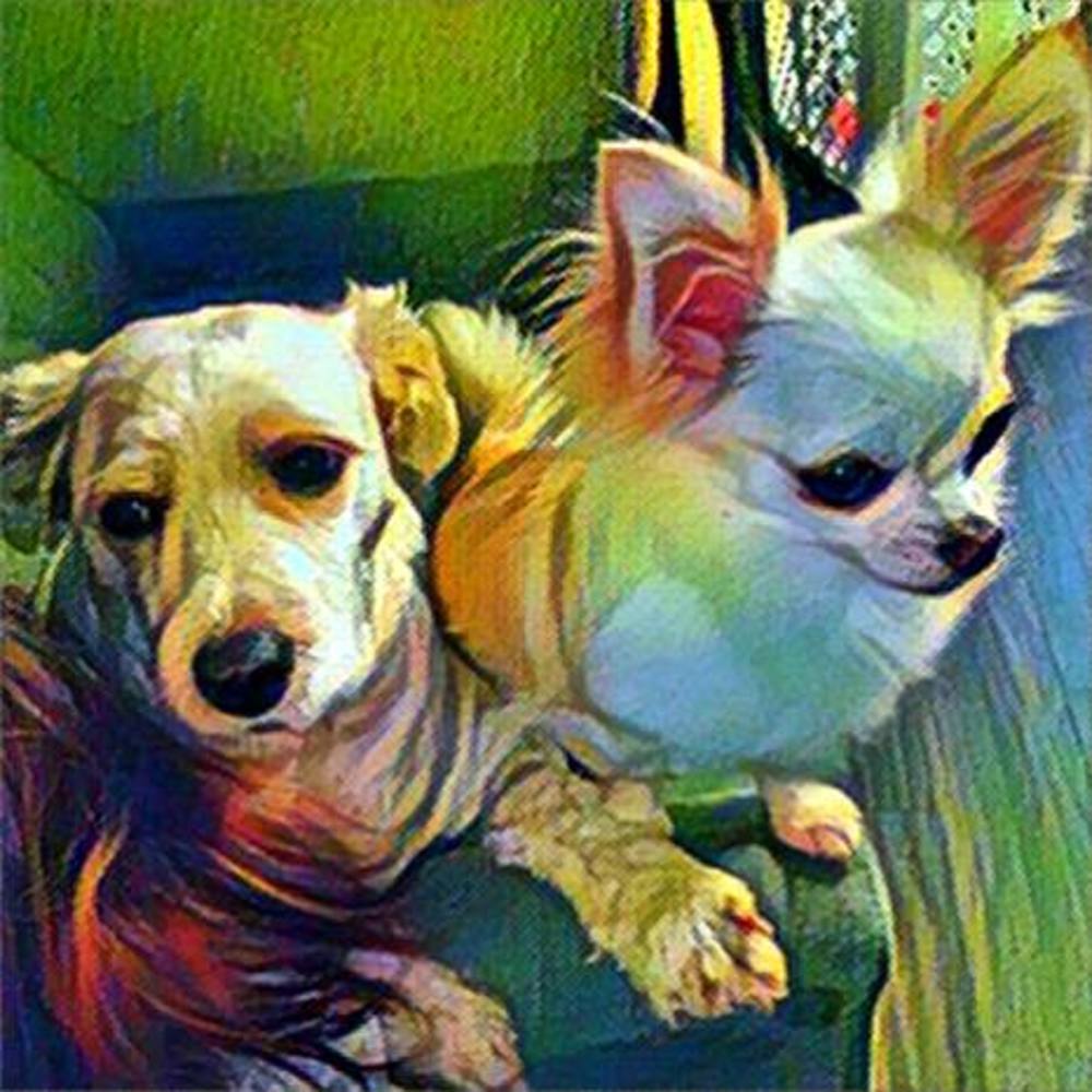 Meet your Posher, Melissa